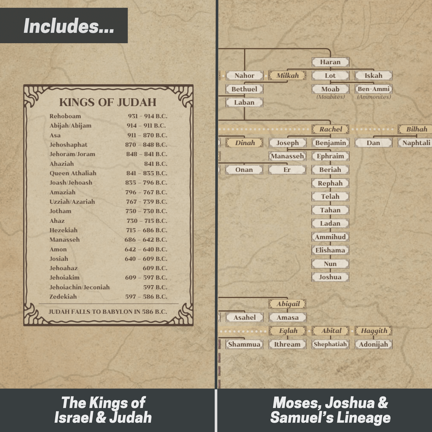 Genealogy of the Bible